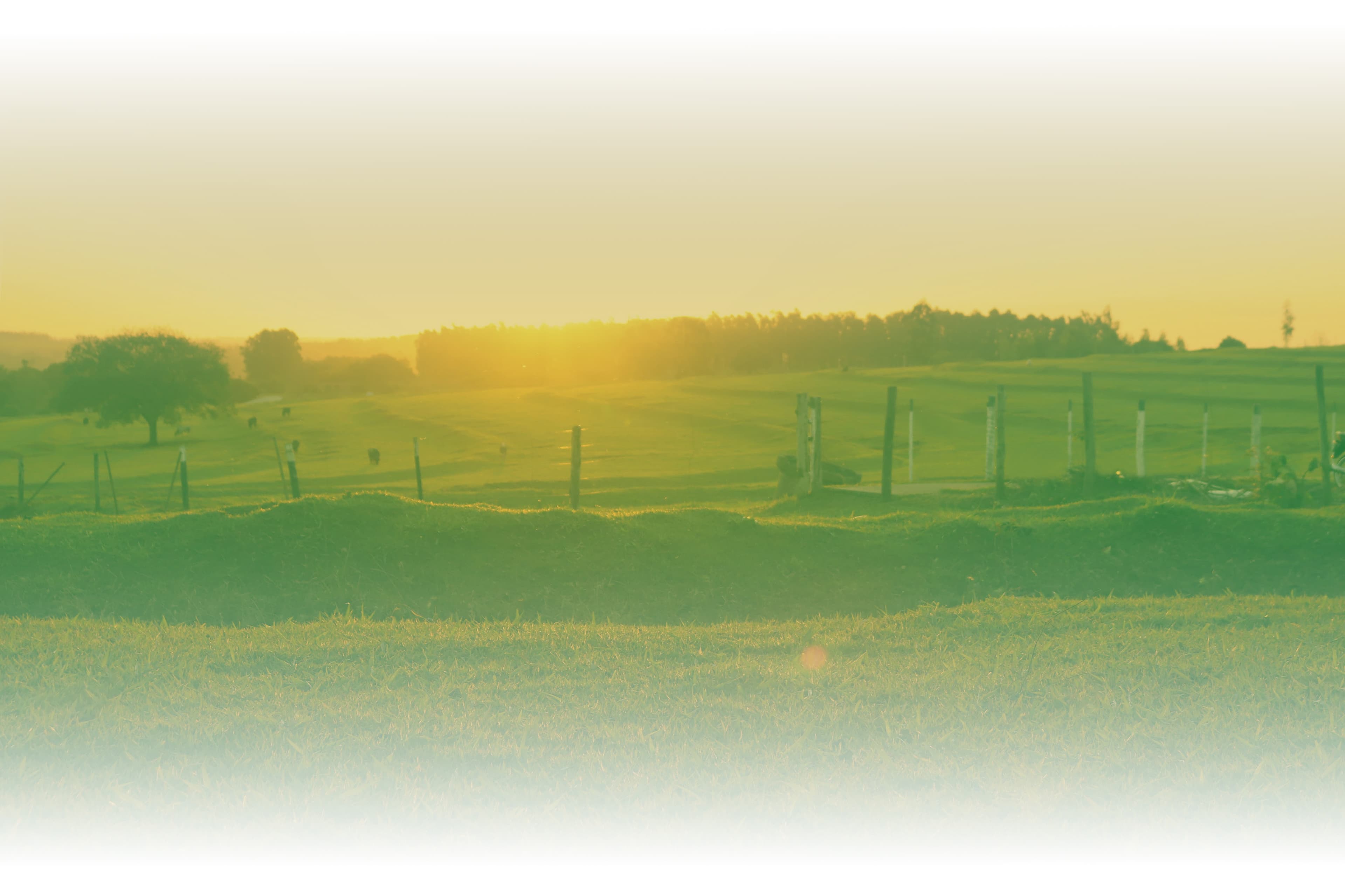 Landscape background